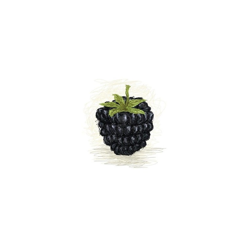 Blackberry by Perfumer's Apprentice