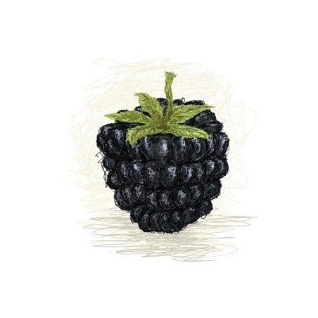 Blackberry by Perfumer's Apprentice