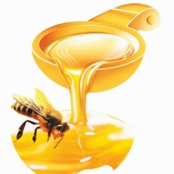 Black Honey by Perfumer's Apprentice