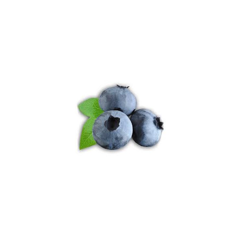 Blueberry by Perfumer's Apprentice
