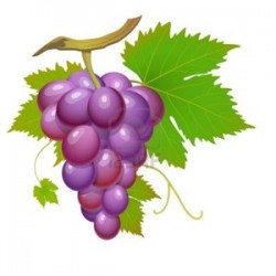 Grape by Perfumer's Apprentice
