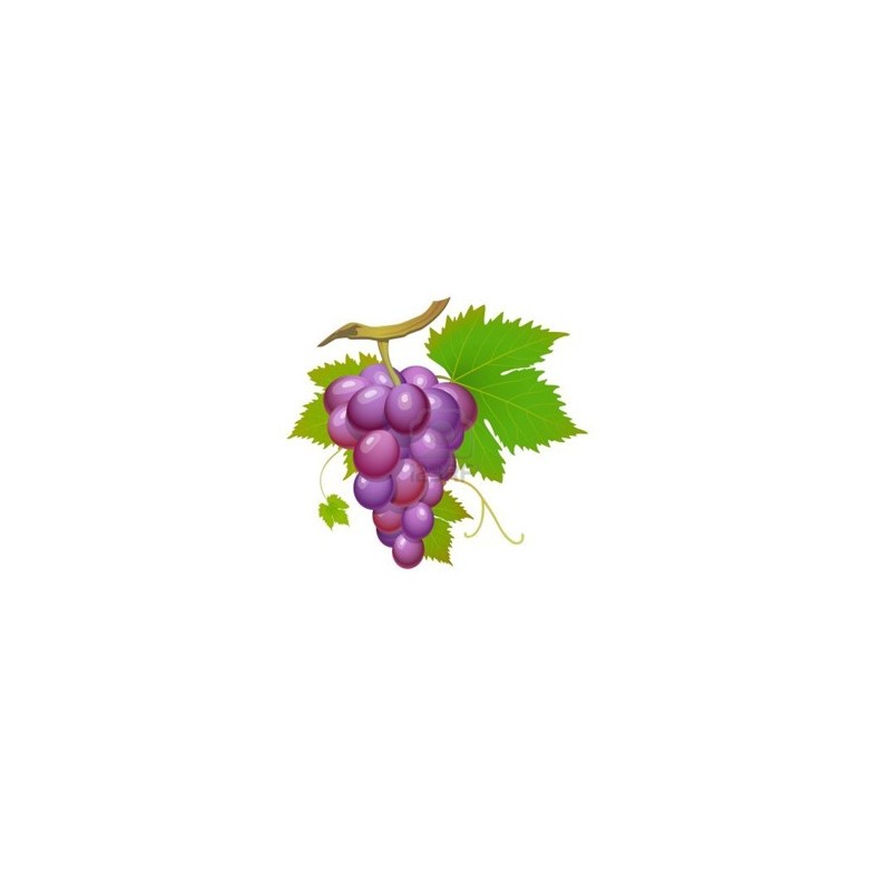 Grape - Perfumer's Apprentice