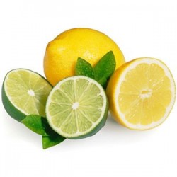 Lime Lemon by Perfumer's Apprentice