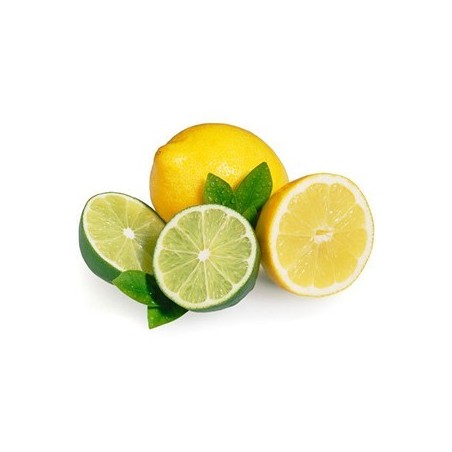 Lime Lemon by Perfumer's Apprentice