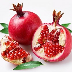 Pomegranate by Perfumer's Apprentice