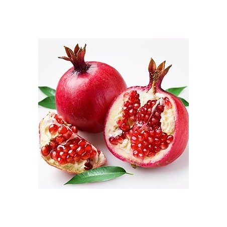 Pomegranate by Perfumer's Apprentice